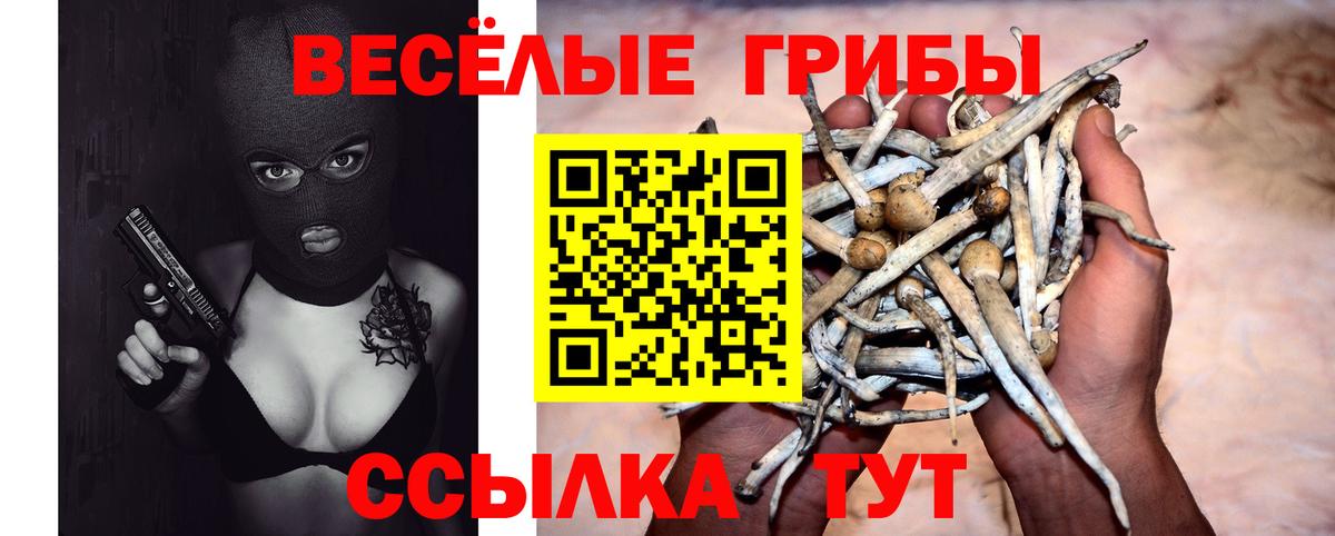 Псилоцибиновые грибы мицелий  Галлюциногенные грибы прущие грибы  Сарапул  Вход с VPN 